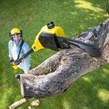 Grass Overseeding in Taft Heights, CA